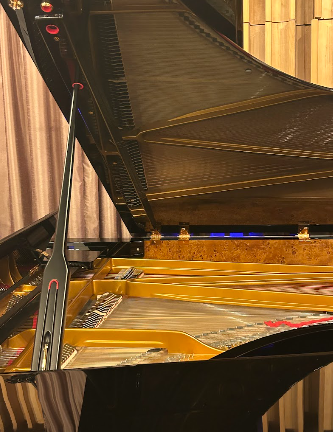 INTERVIEW WITH: Shinya Lin